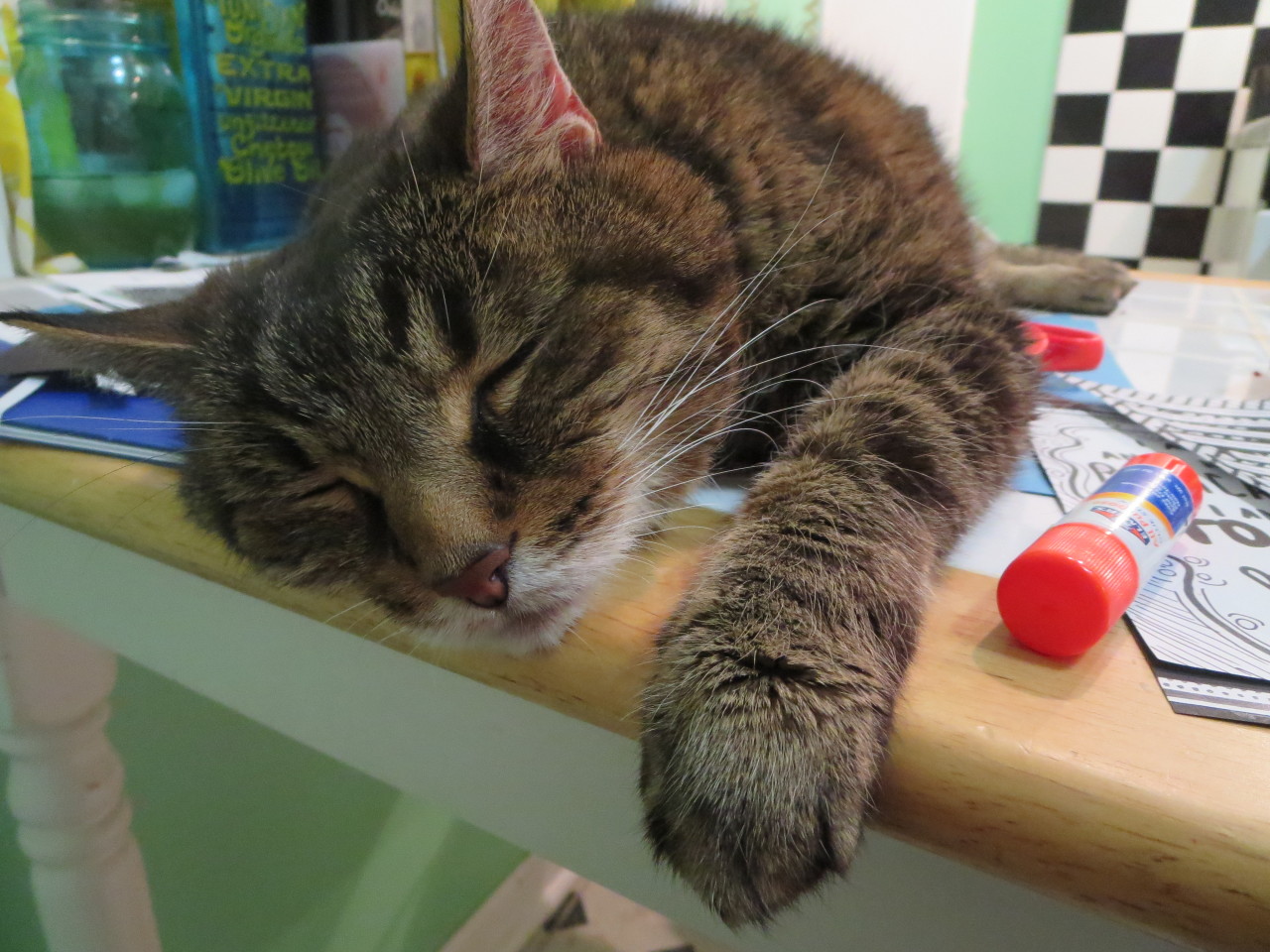 Acat sleeping on a table with a glue stick next to her.