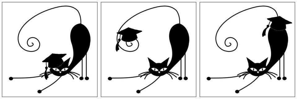 Three panels of a black cat stretching with a graduation cap on head, on tail, on backend.