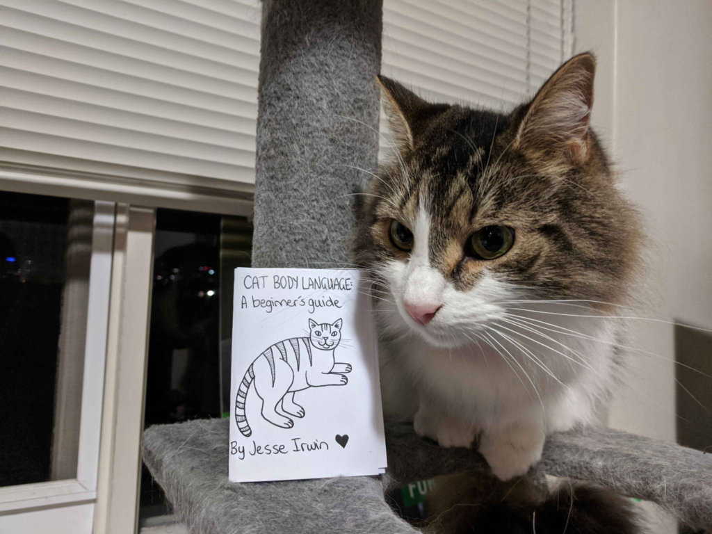 White and calico cat poses next to a white zine about cats.